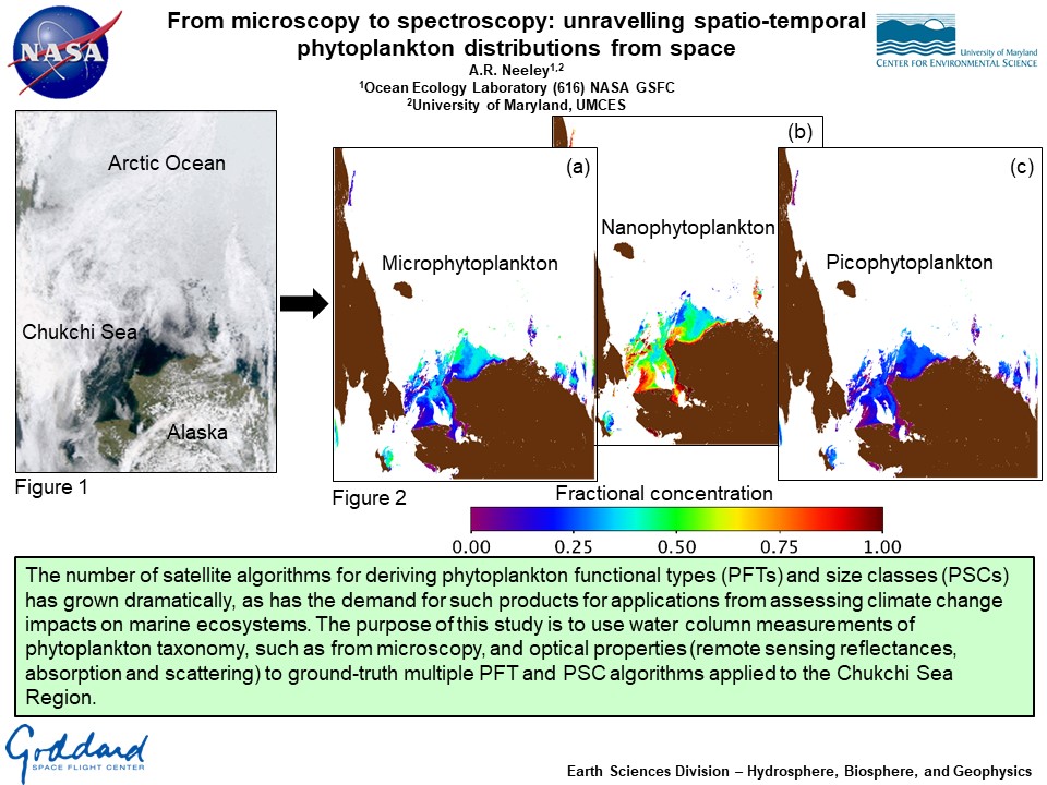 From microscopy to spectroscopy: unravelling spatio-temporal  phytoplankton distributions from space