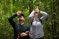 Laura Duncanson and Sassan Saatchi comparing forest canopy height measurements for a very tall tree in Mondah Forest, Gabon.