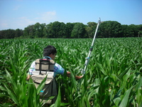 Yen-Ben Cheng (formerly of ERT and Code 618) measures canopy spectral reflectance with using a backpack spectroradiometer in the USDA Beltsville Agricultural Research Center cornfield as part of the Spectral Bio-Indicators study lead by Dr. Elizabeth Middleton (NASA, Code 618).