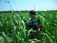Yen-Ben Cheng (formerly of ERT and Code 618) measures canopy spectral reflectance with using a backpack spectroradiometer in the USDA Beltsville Agricultural Research Center cornfield as part of the Spectral Bio-Indicators study lead by Dr. Elizabeth Middleton (NASA, Code 618).