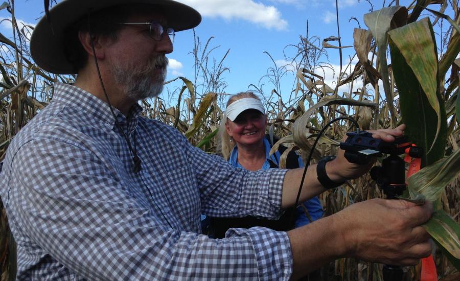 Dr. Fred Huemmrich and Dr. Petya Campbell (UMBC. Code 618) measure leaf spectral reflectance and fluorescence in the USDA Beltsville Agricultural Research Center cornfield.
